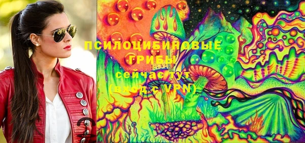 стафф Алзамай