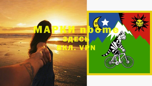 стафф Алзамай