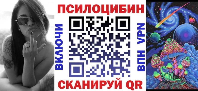 omg ссылки  что такое   Кемерово  Галлюциногенные грибы GOLDEN TEACHER 