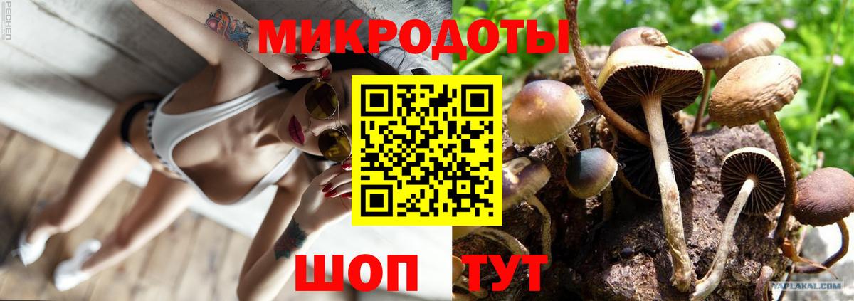 Кемерово  Галлюциногенные грибы GOLDEN TEACHER  Галлюциногенные грибы Cubensis  Вход с VPN 